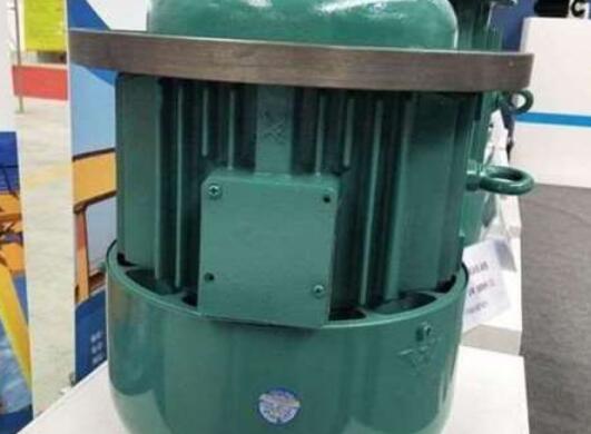 軸電流量對(duì)龍門(mén)吊電機(jī)的損壞有多大？